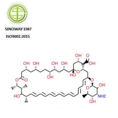 Amphotericin B